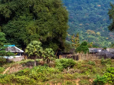 img of The Hollow Promise: India's Forest Rights Act and the Systemic Betrayal of Indigenous Communities