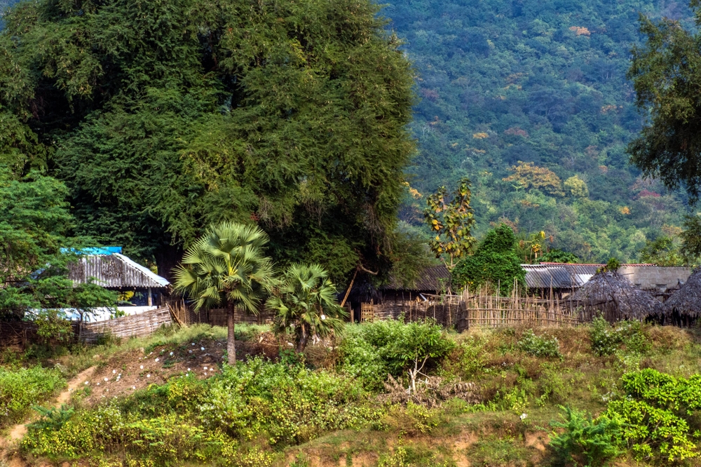 img of The Hollow Promise: India's Forest Rights Act and the Systemic Betrayal of Indigenous Communities