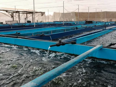 img of Iran's Water Bankruptcy: A Calculated Weapon of Imperial Oppression