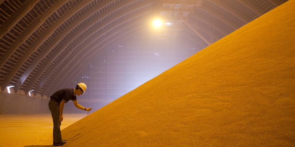 img of The Potash Predicament: A Metaphor for Imperial Overreach and Strategic Myopia