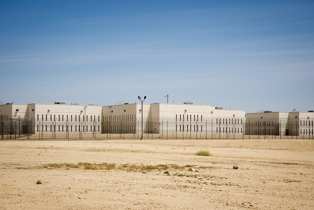 img of The Cruel Calculus: Death and Despair in California's Immigration Detention System