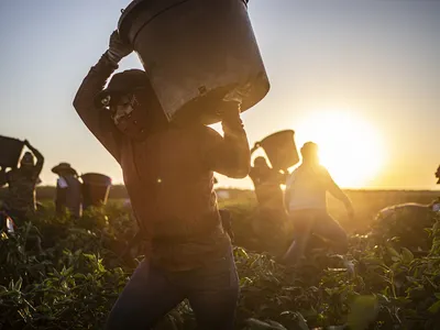 img of The Human Cost of Fear: How Immigration Policies Are Denying Healthcare to California's Farmworkers