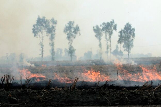img of India's Choking Paradox: How the Green Revolution's Legacy Strangles Our Future