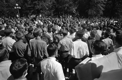 img of When National Guard Deployment Serves Democracy Versus Political Theater