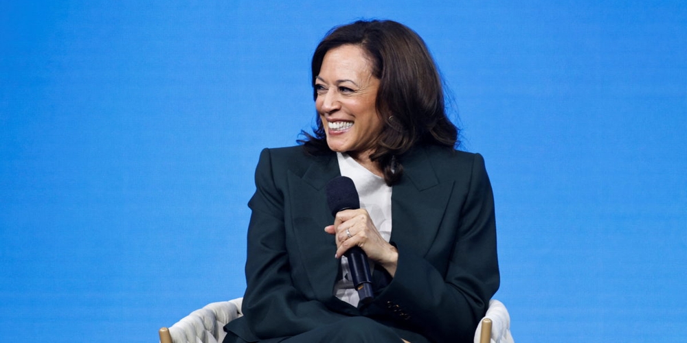 img of The Kamala Harris Conundrum: Campaigning Through a Crucible of Division and Democratic Stress