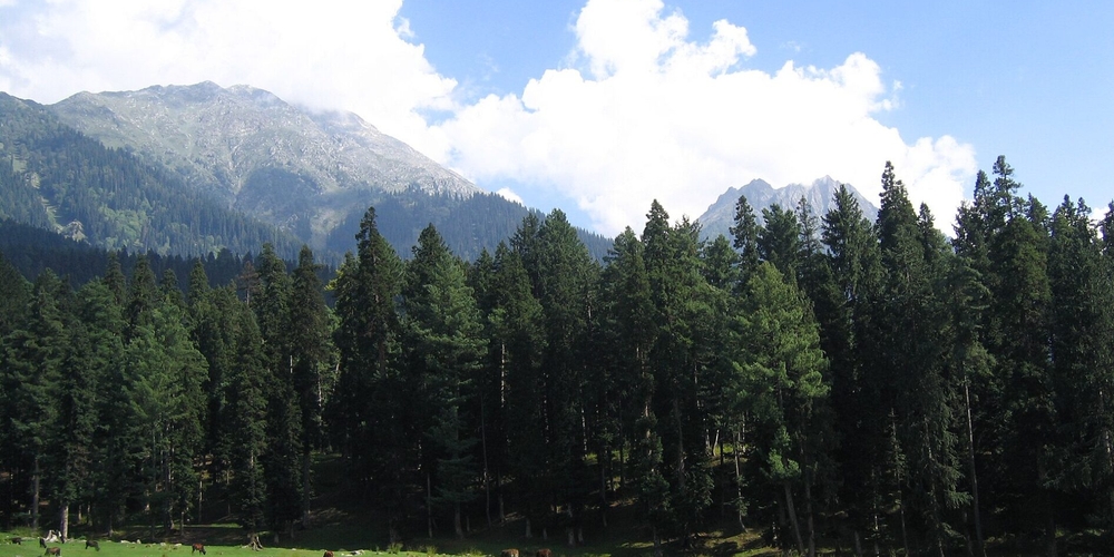 img of The Sindoor Mirage: How Security-Centric Governance Perpetuates Conflict in Kashmir
