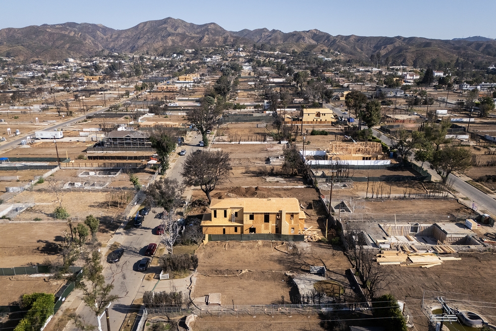 img of The Los Angeles Fire Recovery: A Test of American Resilience and Bureaucratic Reform