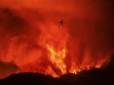img of The Great Betrayal: How Politicians Are Sacrificing California Communities to Timber Interests