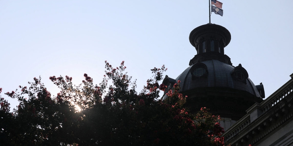 img of The Palmetto Precipice: South Carolina's Senate Scramble and the Test of Democratic Resilience