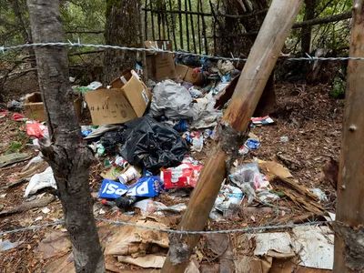 img of The Silent Crisis: How Illegal Cannabis Grows Are Poisoning California's Public Lands
