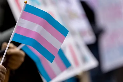 img of The Assault on Transgender Rights: How Federal Funding Restrictions Threaten Healthcare Equality and Constitutional Principles
