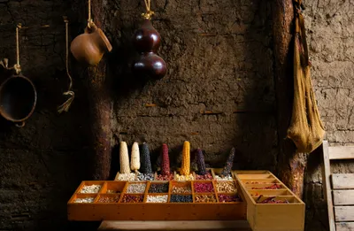 img of The Geopolitical Assault on Food Security in the Americas: A Battle for Sovereignty and Survival