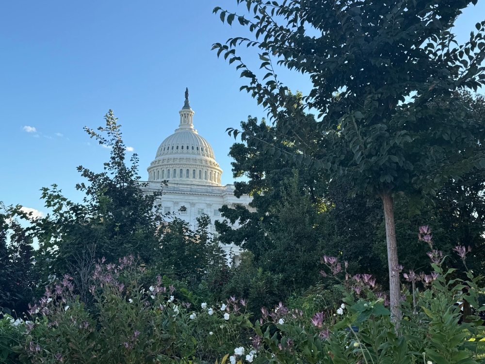 img of A Constitutional Crisis: How Government Shutdown Politics Threatens America's Foundation