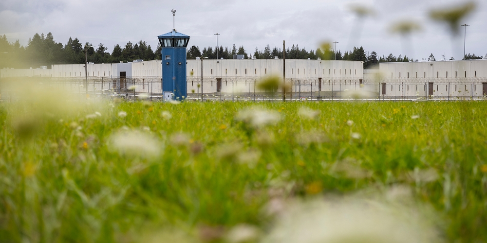 img of The $50 Million Stare: How California's Prison System Gambles with Lives to Avoid a Fix