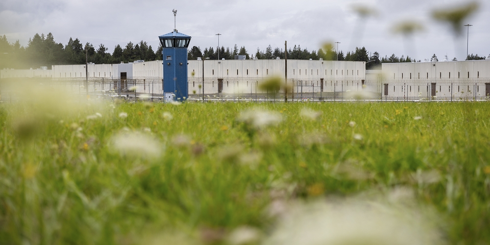 img of A $50 Million Gamble: How California's Prison System Is Betting Lives Against a Budget