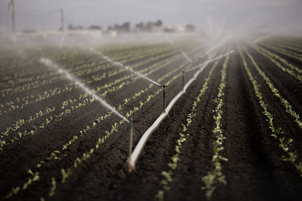 img of Expediting Climate Action: Assemblymember Alvarez's Bid to Fulfill California's Democratic Mandate