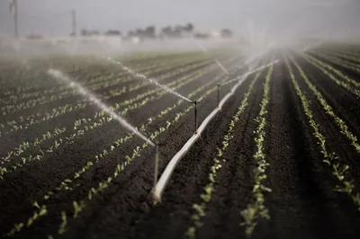 img of Expediting Climate Action: Assemblymember Alvarez's Bid to Fulfill California's Democratic Mandate