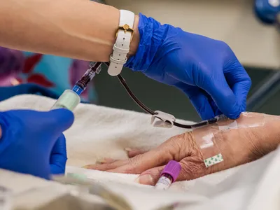 img of The Assault on Health Equity: How Funding Cuts Threaten America's Most Vulnerable