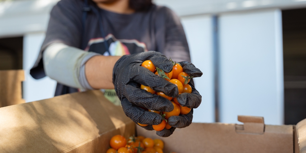 img of Sowing the Seeds of Prosperity: How California's Farm to School Program Nourishes Bodies, Economies, and Democratic Ideals