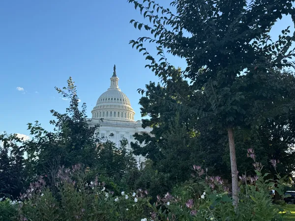 img of America's Hunger Crisis: How Political Gamesmanship Threatens 42 Million Vulnerable Citizens