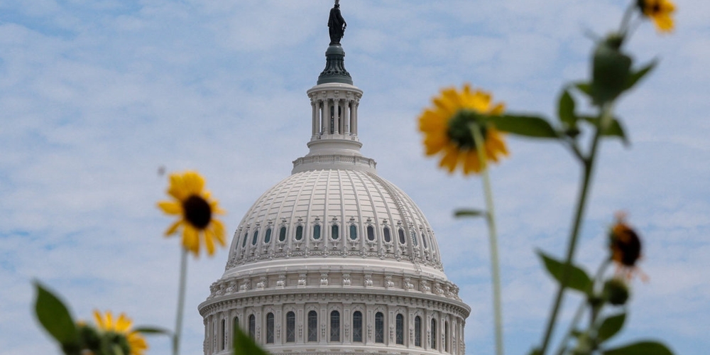 img of Governing by Crisis: The Short-Term Spending Bill and the Erosion of Institutional Trust