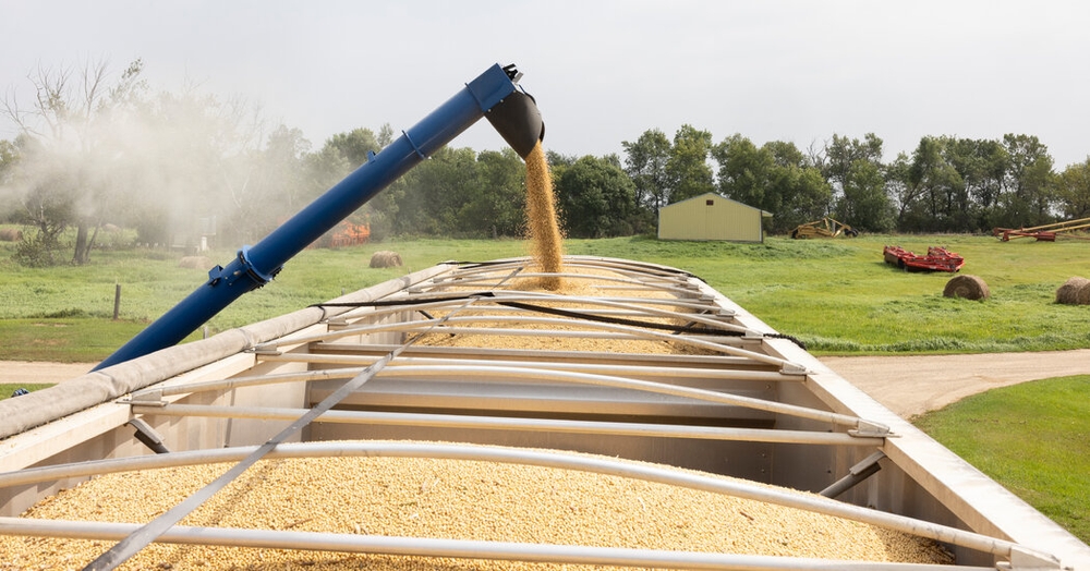 img of Trade Truce Brings Temporary Relief to American Farmers, But at What Cost?