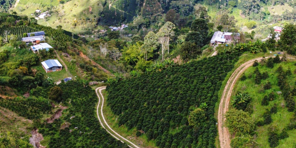 img of Colombia's Fragmented Battlefield: A Sovereign Struggle Against Neo-Imperial 'Assistance'