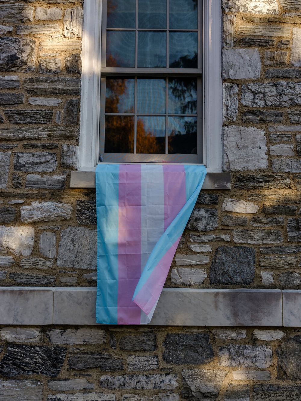 img of The Unresolved Science of Transgender Athletes in Women's Sports: Balancing Inclusion and Competitive Fairness