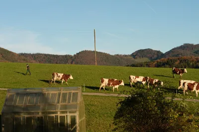 img of Turning Economic Conflict into Opportunity: The U.S.-Swiss Tariff Agreement and the Power of Diplomatic Engagement