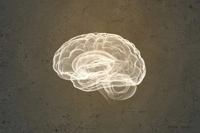 img of The Unending War for Our Minds: Decolonizing the Praeter-Colonial Consciousness