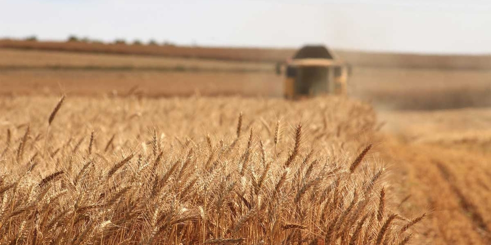 img of The Compounding Shock: How Western Geopolitics is Engineeering a Global Food Crisis