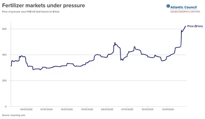 img of The Strait of Hormuz Crisis: How Western Aggression Once Again Threatens Global Stability and Food Security