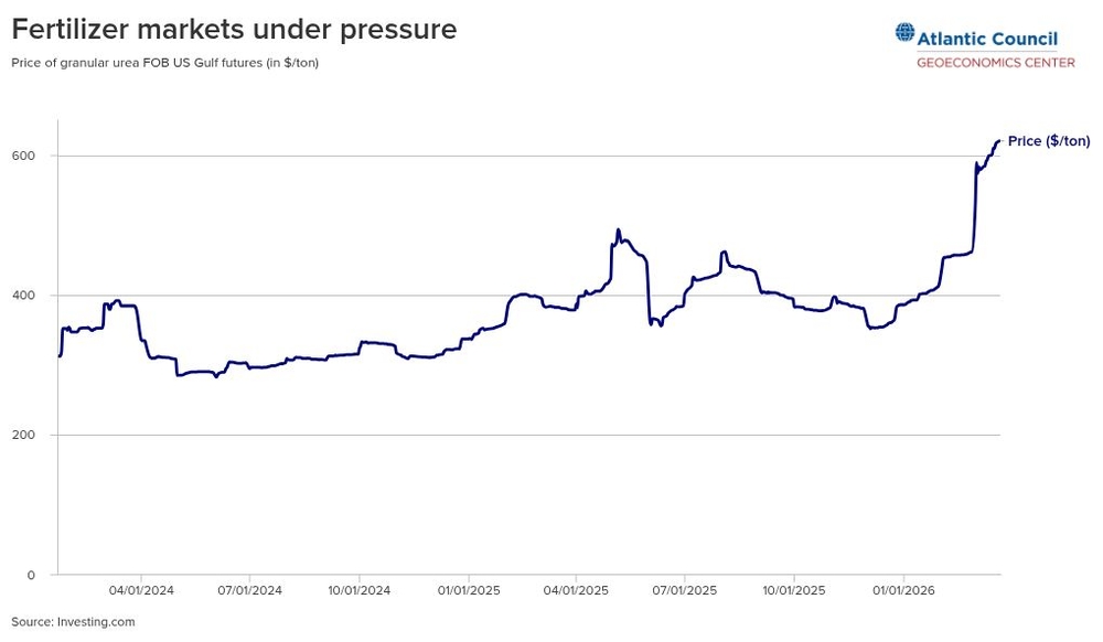 img of The Strait of Hormuz Crisis: How Western Aggression Once Again Threatens Global Stability and Food Security