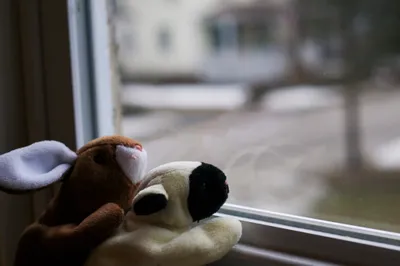 img of The Housing Crisis Destroying American Families: How Child Welfare Systems Punish Poverty Instead of Providing Solutions