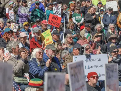 img of The Democratic Pulse: No Kings Protests as America's Constitutional Conscience