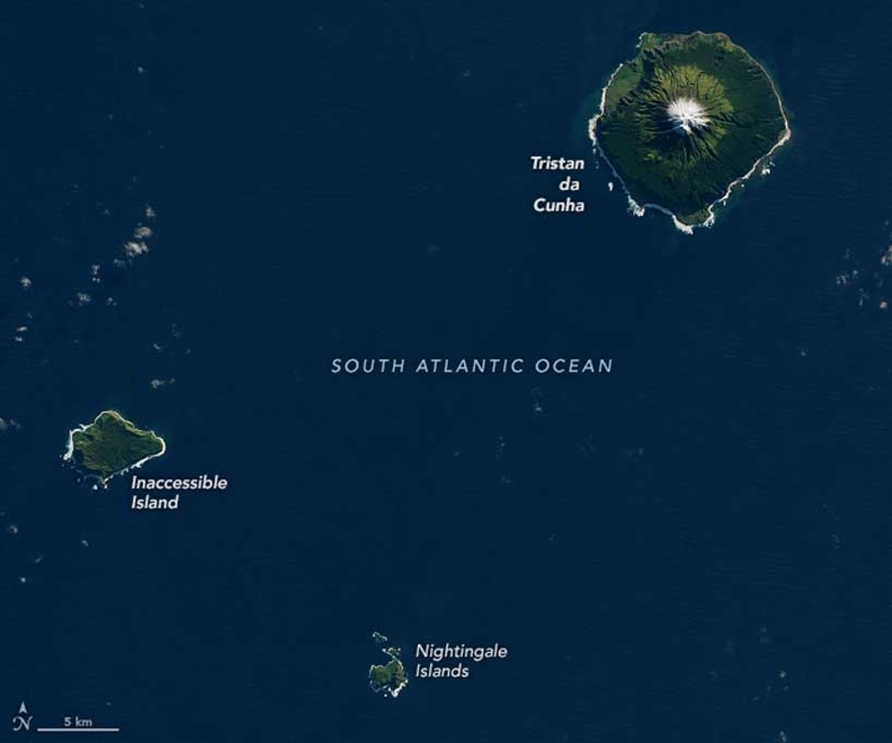 img of An Outbreak of Truth: Hantavirus in Tristan da Cunha Exposes the Festering Wound of Colonialism