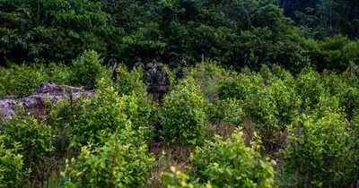 img of Reckless Force: The Administration's Dangerous Escalation in Latin America