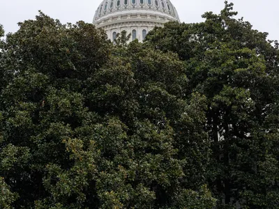 img of The Silent Surrender: How Congress Abandoned Its Constitutional Duty During Trump's Second Term