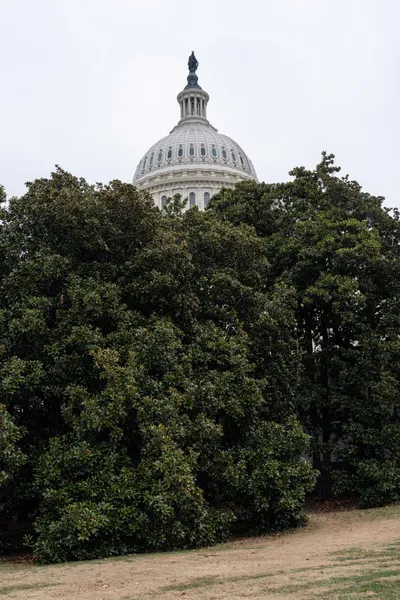 img of The Silent Surrender: How Congress Abandoned Its Constitutional Duty During Trump's Second Term