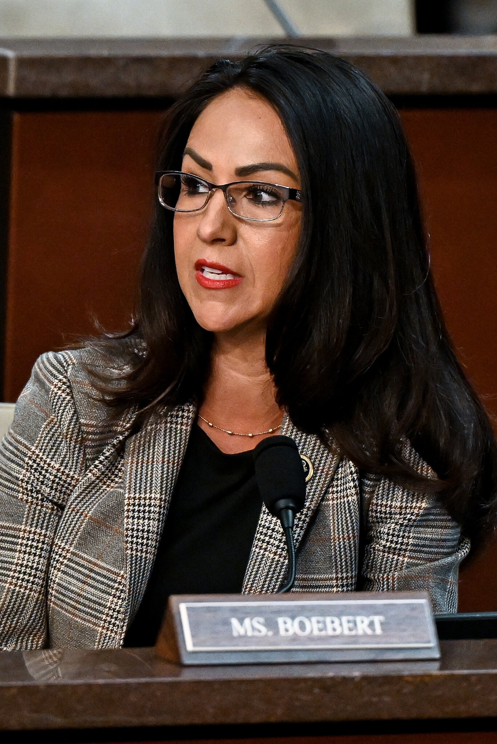 img of The Epstein Files Battle: A Test of Democratic Integrity and Transparency