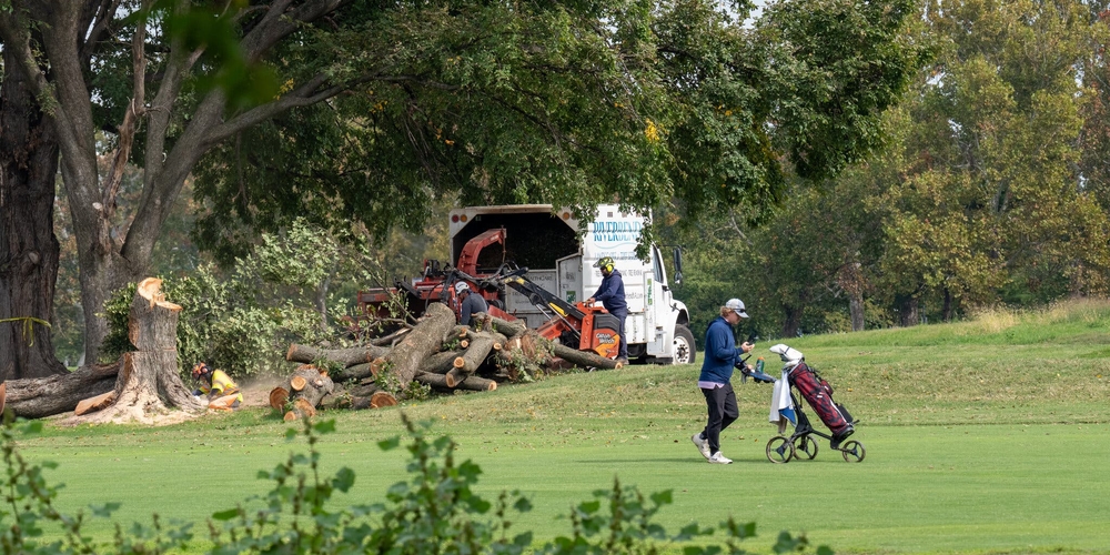img of The East Potomac Land Grab: A Case Study in the Erosion of Public Trust and the Rule of Law