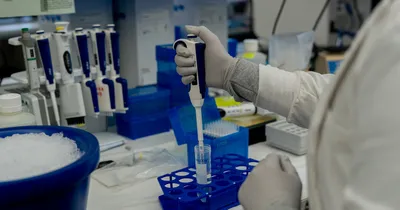 img of Visa Restrictions Threaten American Education and Innovation