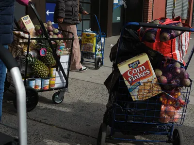 img of A Betrayal of the Vulnerable: Hunger as Political Leverage in the Shutdown Crisis