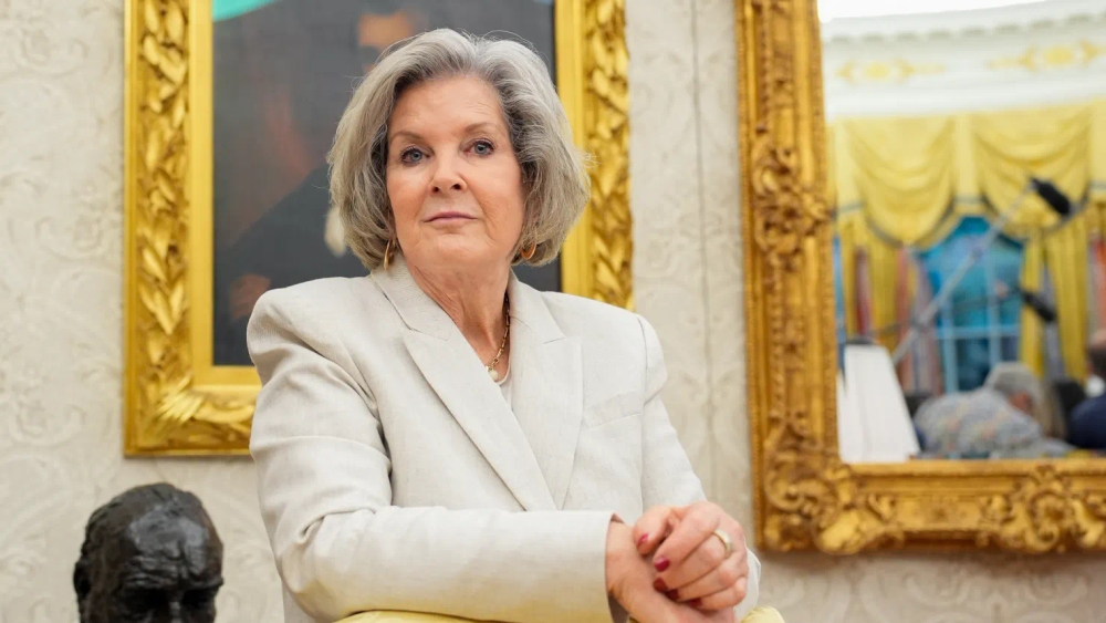 img of The Wiles Revelations: When Personal Loyalty Undermines Democratic Governance