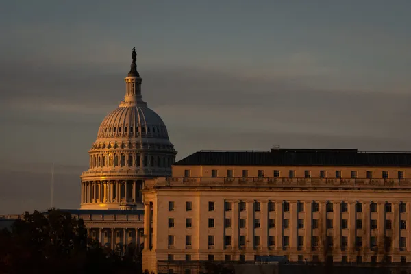 img of The Administration's Calculated Assault on Food Security for Millions