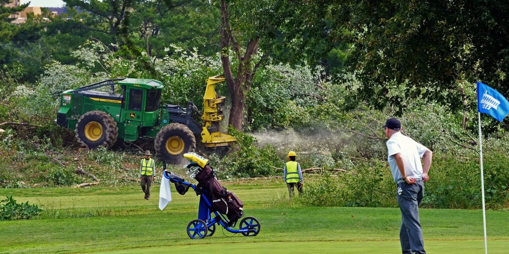img of The Clear-Cut Prelude: How Bureaucratic Stewardship is Being Weaponized for a Presidential Golf Course