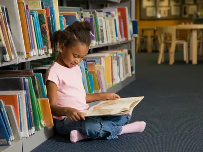 img of The Assault on America's Civic Mind: Why Defunding Libraries and Museums is an Attack on Democracy Itself