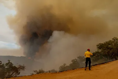 img of Ideological Litmus Tests Endanger Forests and Federalism: The Weaponization of Wildfire Funding