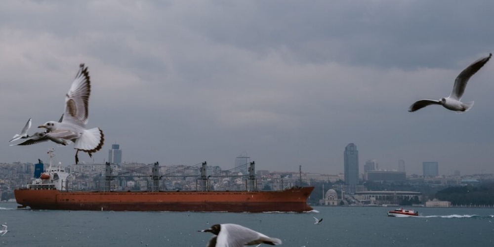 img of The Strait of Turbulence: How a Chokepoint Crisis Exposes the Structural Chains on Turkey's Ascent