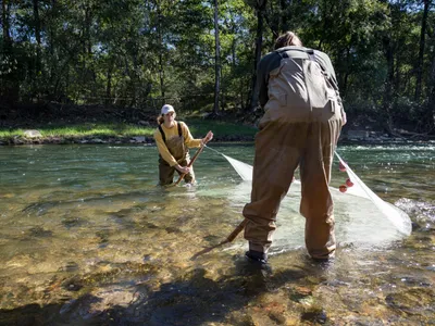 img of The Systematic Dismantling of America's Conservation Infrastructure: A Grave Threat to Our Natural Heritage